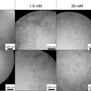 Cryo-TEM images of empty and RAPA-loaded formulations with different Zn ...