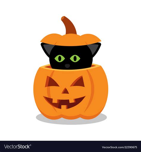 Black Cat On A Halloween Pumpkin Royalty Free Vector Image