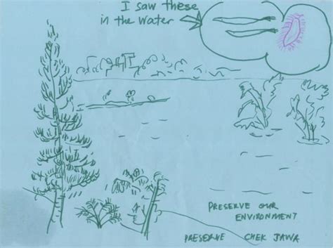 Adventures With The Naked Hermit Crabs Families Enjoying Chek Jawa Boardwalk