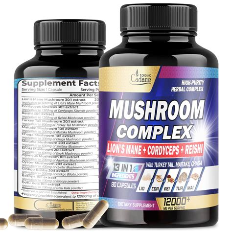 Future Supplements Will Combine The Best Mushrooms For Brain Health Into One - RYZE Superfoods