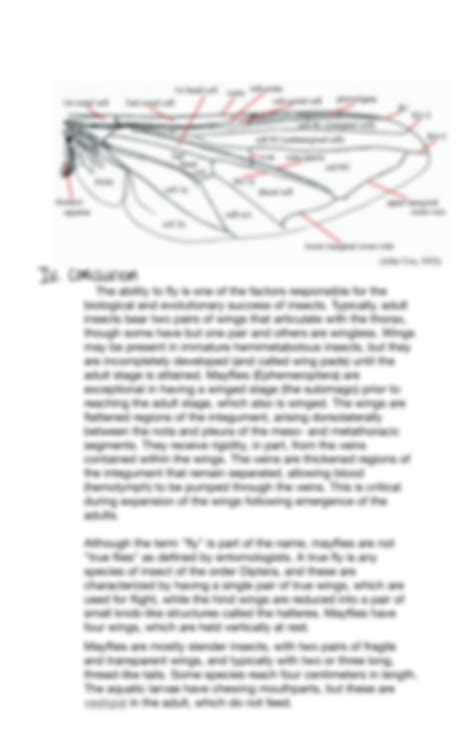 SOLUTION: Types of insect wings laboratory exercise and notes - Studypool