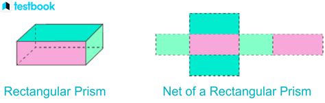 Rectangular Prism: Definition, Types, Formulas, Net & Examples