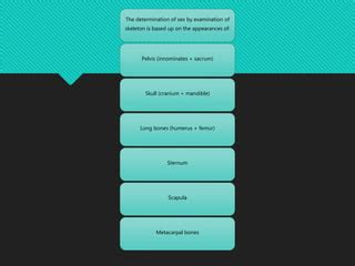 Determination Of Sex From Skeletal Remains PPTX