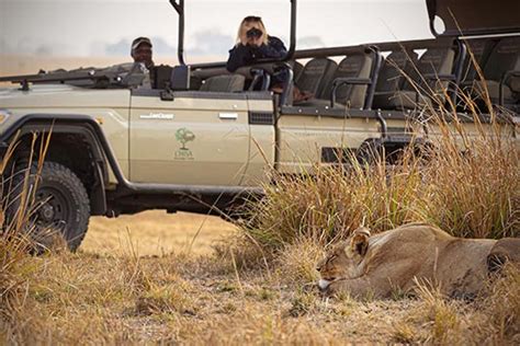 Busanga Green Safaris