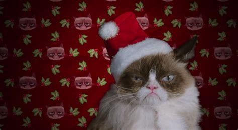 Eerste Trailer Grumpy Cat S Worst Christmas Ever