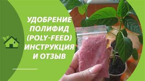 Удобрение «Poly Feed» (ПолиФид) 19-19-19 для рассады/ИНСТРУКЦИЯ по ...