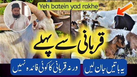 Qurbani Me In Baton K Khayal Rakhe Eid Ul Azha 2023 Qurbani Kaise