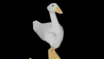 Motorista Chapado Ozonibu XVIDEOS