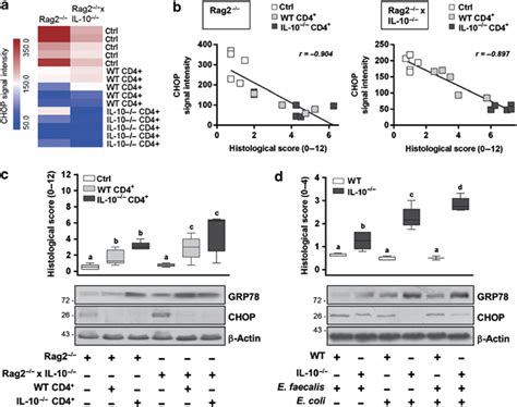 Iec Specific Downregulation Of C Ebp Homologous Protein Chop Mrna And