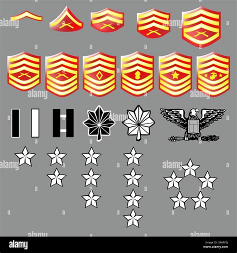 Us Marine Corps Rank Insignia For Officers And Enlisted In Vector