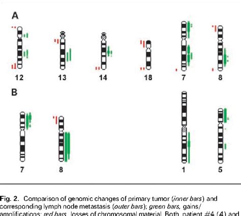 Figure 2 from EGFR/KRAS/BRAF Mutations in Primary Lung Adenocarcinomas and Corresponding ...