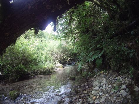 Ещё немного Абхазии. | Пикабу