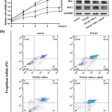 Mscs Attenuated The Tgf β1 Induced Growth Inhibition In Hk 2 Cells By