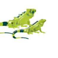 Ecopetrol SA (EC) Stock Quote, Chart & Profile