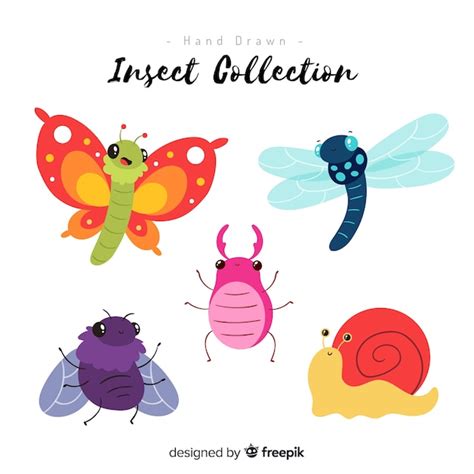 Colecci N De Insectos Coloridos Dibujados A Mano Vector Premium