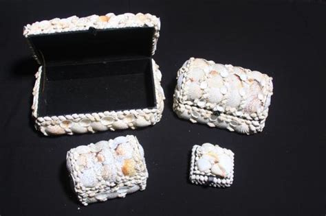 SHELL BOX MICRO WHITE Darlene S Shells