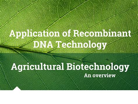 Agricultural Biotechnology Overview Ppt