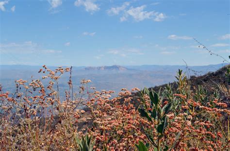 San Diego County Ecosystems Assessment Climate Science Alliance