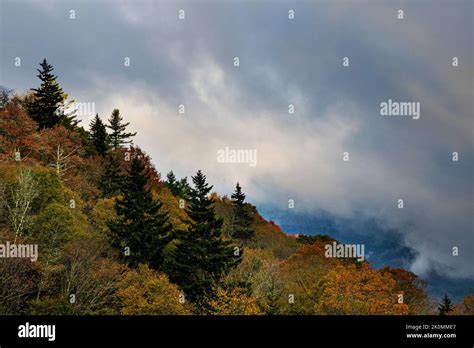Autumn Color Peeks Out Of The Morning Mist Ay The Mills Overlook Or