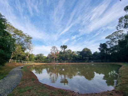 Condomínio Ibirapuera Rua Laura Maiello Kook 1550 Jardim Novo