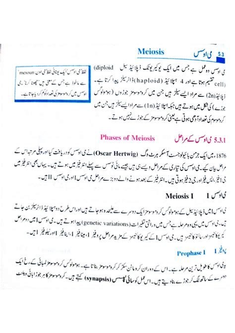 Significance Of Meiosis 3