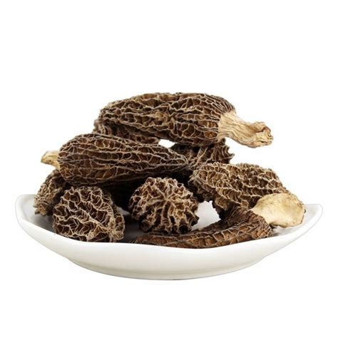 Mushroom - Wholesale Price & Mandi Rate for Mushroom