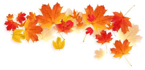 Autumn Falling Leaves 11016125 PNG