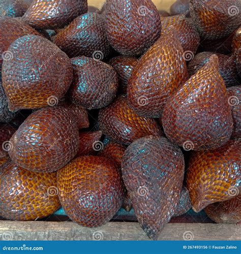 Pasar Raya Padang January Pile Of Pondo Snake Fruit Stock