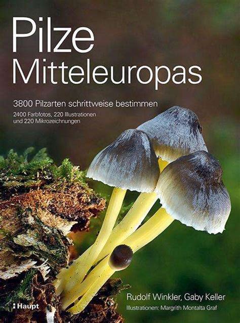 Pilze Mitteleuropas Rudolf Winkler Buch Jpc