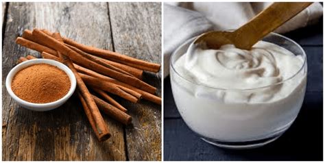 Plain Yogurt And Cinnamon Benefits For Females Sexually Nigerian