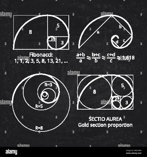 Schéma de la section du ratio d or spirale de fibonacci sur l