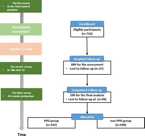 Frontiers Risk Factors For Postpartum Depression In Women Undergoing