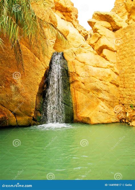 Mountain Oasis Chebika At Border Of Sahara, Tunisia, Africa Royalty