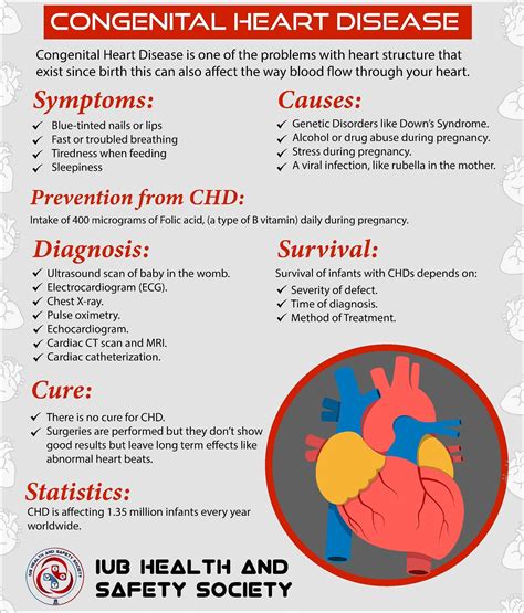 Congenital Heart Diseases Cyanotic Defects Made Easy 42 OFF