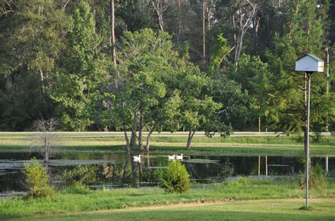 This local guide explains exactly why Tomball Texas is growing