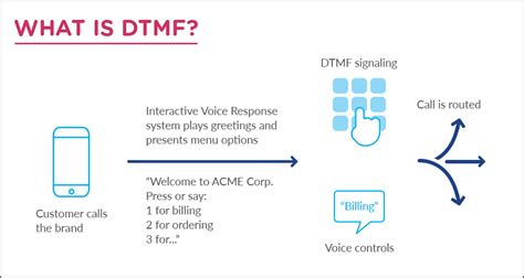 true cost  dtmf   dtmf interactions