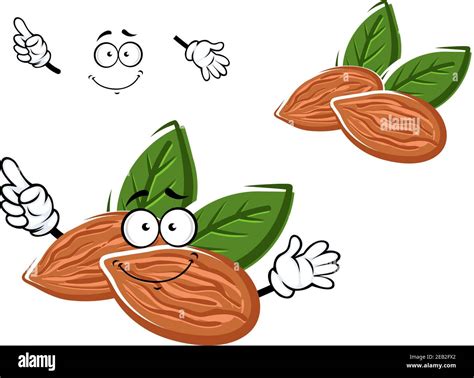 happy sweet almonds cartoon character  nuts  green leaves