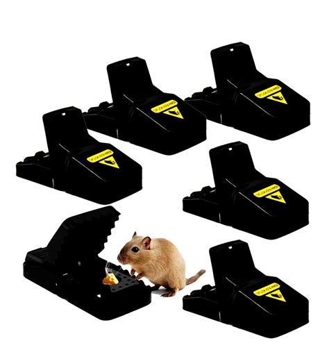 Mouse Trap Mouse Traps Indoor for House Mice Traps in 2023 | House ...