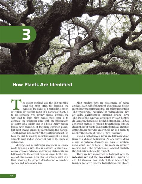 How Plants Are Identified