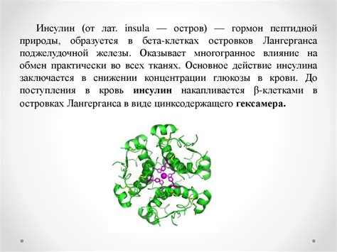 Олигопептид инсулин - презентация онлайн
