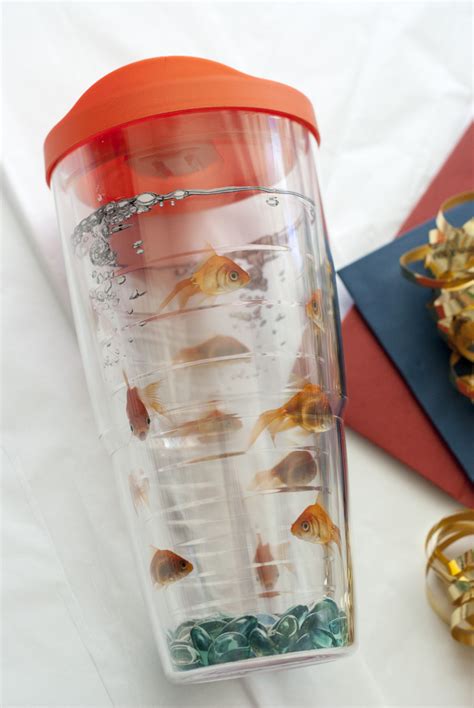 tips for goldfish not drinking at home 10