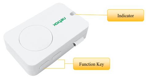 Netvox R313DA Wireless LoRaWAN Vibration Sensor Rolling Ball Type