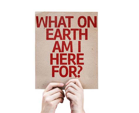 Why Do We Have To Go To School Best Answer