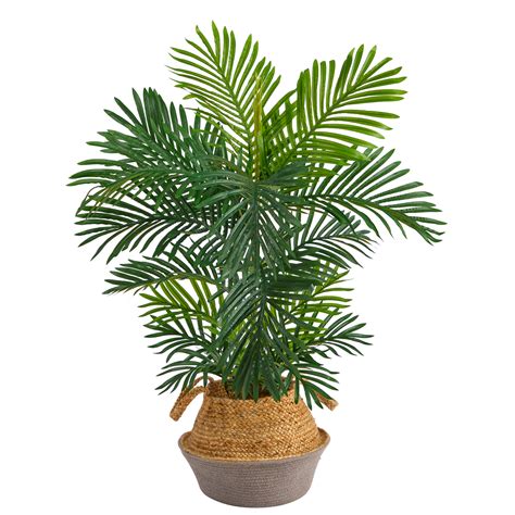 HomeStock 40In. Rustic Recluse Artificial Palm Tree In Boho Chic