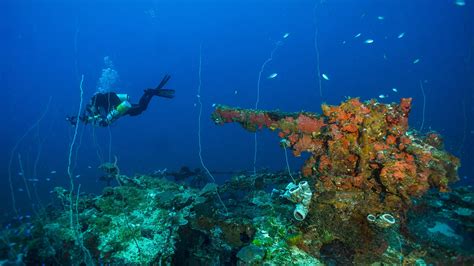 Liveaboard Diving In Chuuk Truk Lagoon Padi Travel