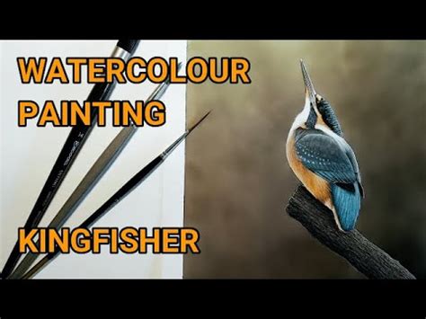 Painting A Kingfisher With Watercolour How To Paint Birds YouTube