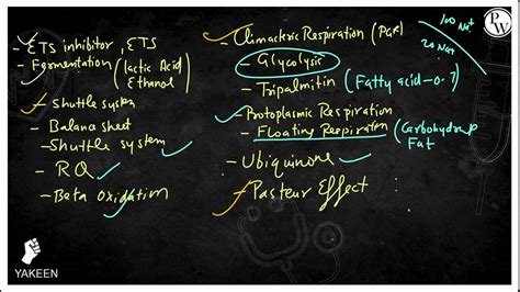 SOLUTION Respiration In Plants 07 Classnotes Respiration In Plants 07