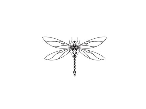 Dragonfly Outline Drawing at GetDrawings | Free download