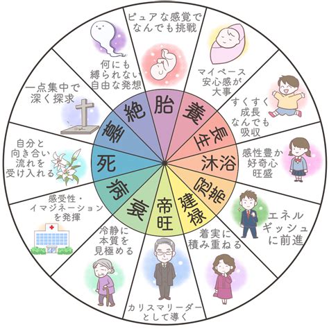 四柱推命の【十二運星】とは？意味・調べ方・エネルギーを解説｜優しい四柱推命