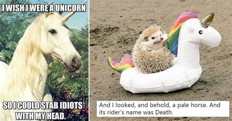 25 Random Unicorn Memes That Might Make Your Day A Little More Magical